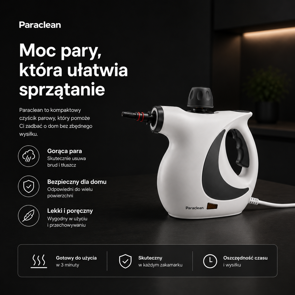 Wielofunkcyjna myjka parowa ParaClean